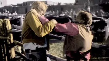 Zasłona do filmu "Mściciel z Laramie" #389272
