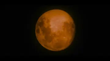 Zasłona do filmu "Saga „Zmierzch”: Księżyc w nowiu" #1576586