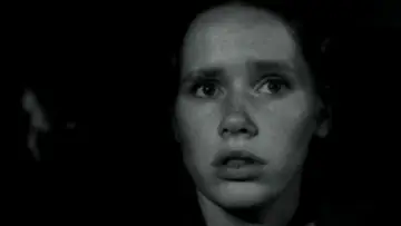 Zasłona do filmu "Godzina wilka" #987753