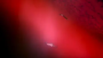 Zasłona do filmu "The End of Evangelion" #648746