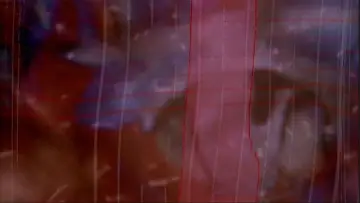 Zasłona do filmu "The End of Evangelion" #648785