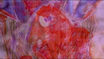 Zasłona do filmu "The End of Evangelion" #648787