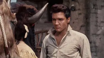 Zasłona do filmu "Płonąca gwiazda" #462504