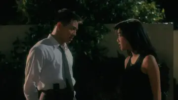 Zasłona do filmu "The Bodyguard from Beijing" #883025