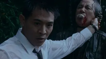 Zasłona do filmu "The Bodyguard from Beijing" #883030