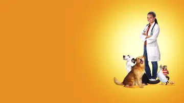 Zasłona do filmu "Doktor Dolittle 3" #1011654