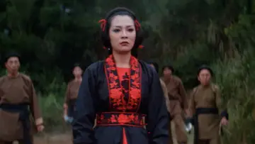 Zasłona do filmu "Mistrz Jang" #1049786