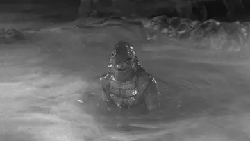 Zasłona do filmu "Creature from the Black Lagoon" #259410