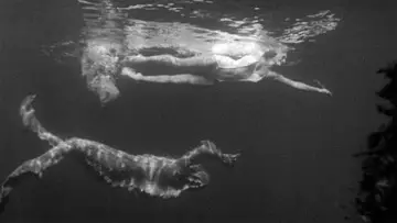 Zasłona do filmu "Creature from the Black Lagoon" #870988