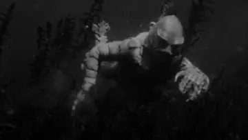 Zasłona do filmu "Creature from the Black Lagoon" #870996