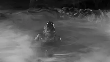 Zasłona do filmu "Creature from the Black Lagoon" #871009