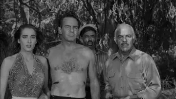 Zasłona do filmu "Creature from the Black Lagoon" #871013
