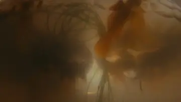 Zasłona do filmu "Żegnaj moja konkubino" #1828292