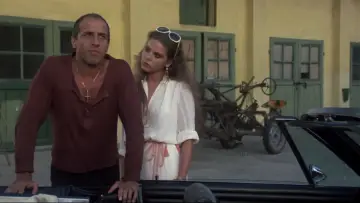 Zasłona do filmu "Il bisbetico domato" #238041