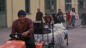 Zasłona do filmu "Il bisbetico domato" #903847