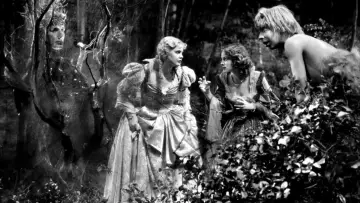 Zasłona do filmu "A Midsummer Night