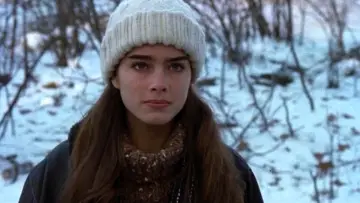 Zasłona do filmu "Endless Love" #505392