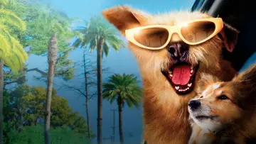 Zasłona do filmu "Doktor Dolittle 5: W pogoni za błahostkami" #1064589
