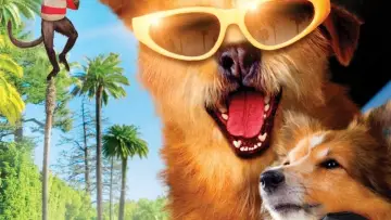 Zasłona do filmu "Doktor Dolittle 5: W pogoni za błahostkami" #422967