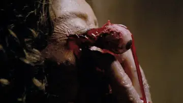 Zasłona do filmu "Siedem bram piekieł" #948922