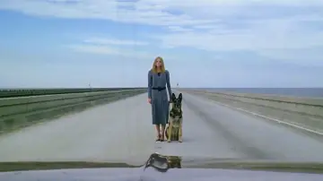 Zasłona do filmu "Siedem bram piekieł" #948936