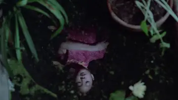 Zasłona do filmu "Zapach zielonej papai" #405650