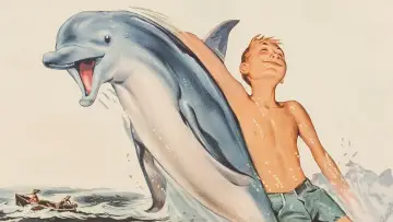Zasłona do filmu "Mój przyjaciel delfin" #1127860