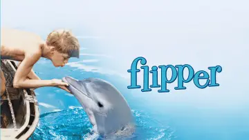 Zasłona do filmu "Mój przyjaciel delfin" #1127861