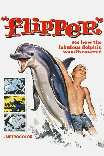 Plakat do filmu "Mój przyjaciel delfin" #1127864