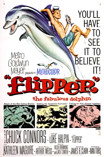 Plakat do filmu "Mój przyjaciel delfin" #1127866
