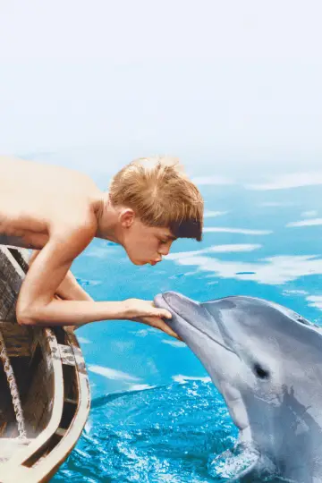 Plakat do filmu "Mój przyjaciel delfin" #1204312