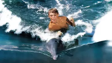 Zasłona do filmu "Mój przyjaciel delfin" #495583