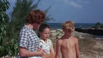 Zasłona do filmu "Mój przyjaciel delfin" #495585