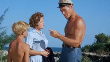 Zasłona do filmu "Mój przyjaciel delfin" #495587