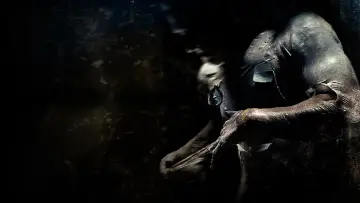 Zasłona do filmu "Pandorum" #851559