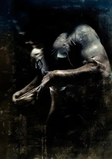 Plakat do filmu "Pandorum" #851567