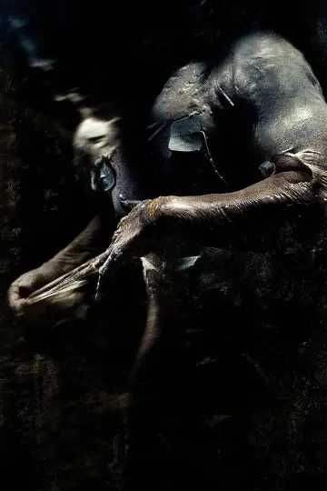 Plakat do filmu "Pandorum" #851574