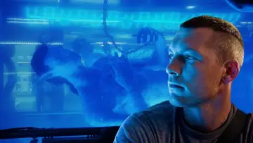 Zasłona do filmu "Avatar" #168052
