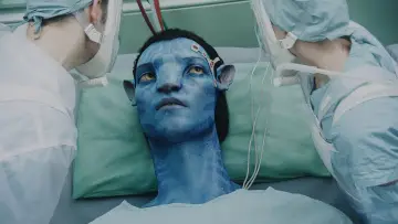 Zasłona do filmu "Avatar" #516344