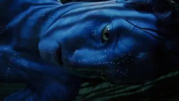 Zasłona do filmu "Avatar" #516347