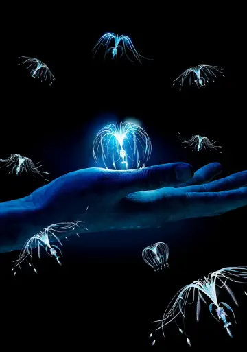 Plakat do filmu "Avatar" #516528