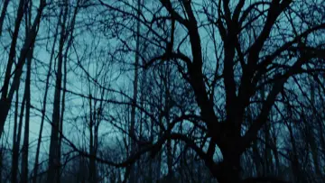 Zasłona do filmu "Zabójcze ciało" #664249