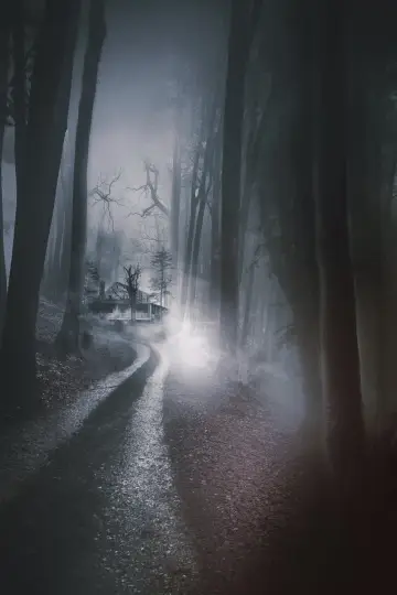 Plakat do filmu "Mała dziewczynka, która mieszka na końcu drogi" #408448