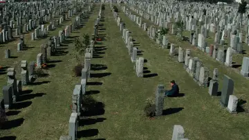 Zasłona do filmu "Niesamowity Spider-Man 2" #1528861