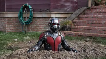 Zasłona do filmu "Ant-Man" #241293