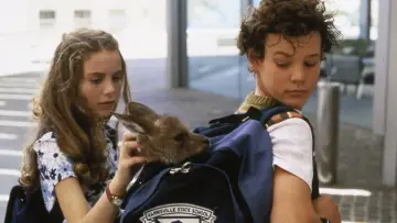 Zasłona do filmu "Kangurek Joey" #1571519