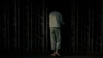 Zasłona do filmu "Holy Motors" #969674