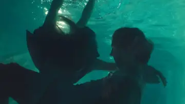 Zasłona do filmu "Ruby Sparks" #889493