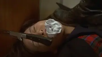 Zasłona do filmu "犯す!" #1746913