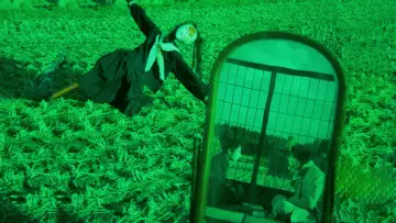 Zasłona do filmu "Wiejska ciuciubabka" #1035240